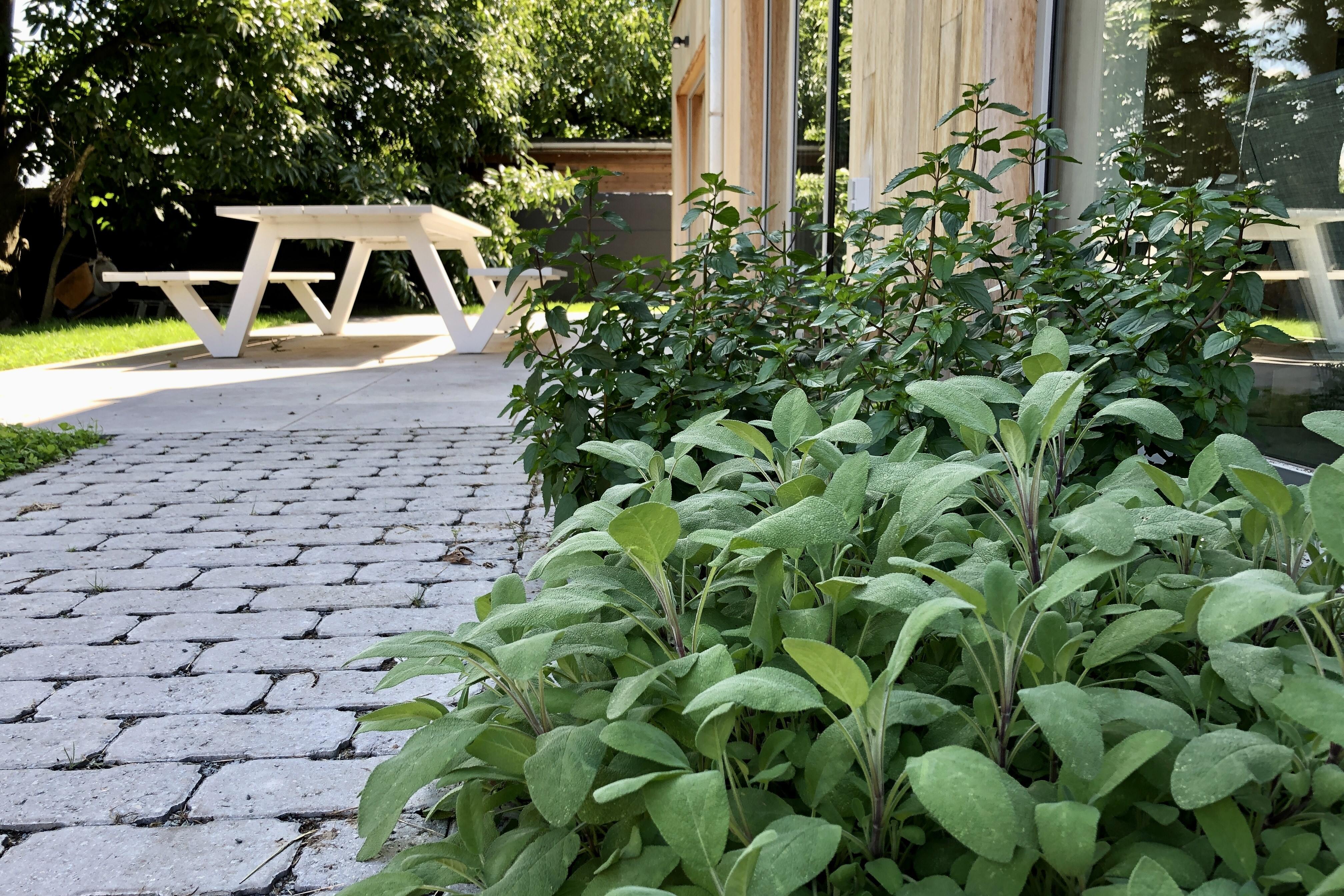 Terras en kruiden vakantiewoning