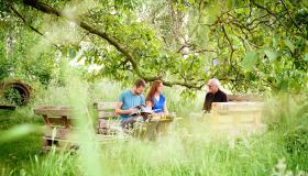 Genieten in de schaduw van de oude notelaar