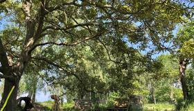 Tuin Vakantiewoning