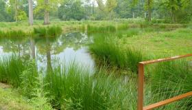 Wandelvakantie aan het Donkmeer