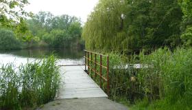 Genieten van de natuur in Overmere
