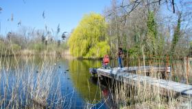 Wandelen langs het Donkmeer in Overmere