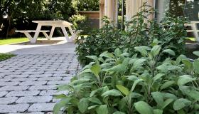 Terras en kruiden vakantiewoning